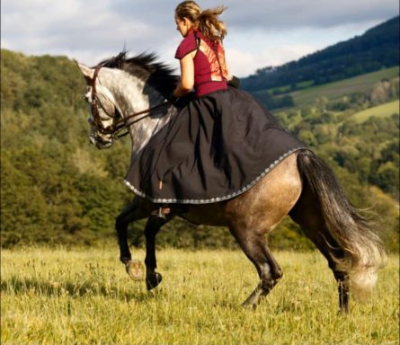 Softshell Stretchbund