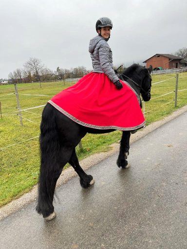 Softshell Stretchbund