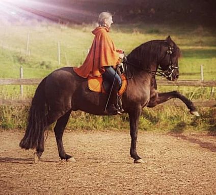 Reitponcho Strickjacquard mit Zopfmuster